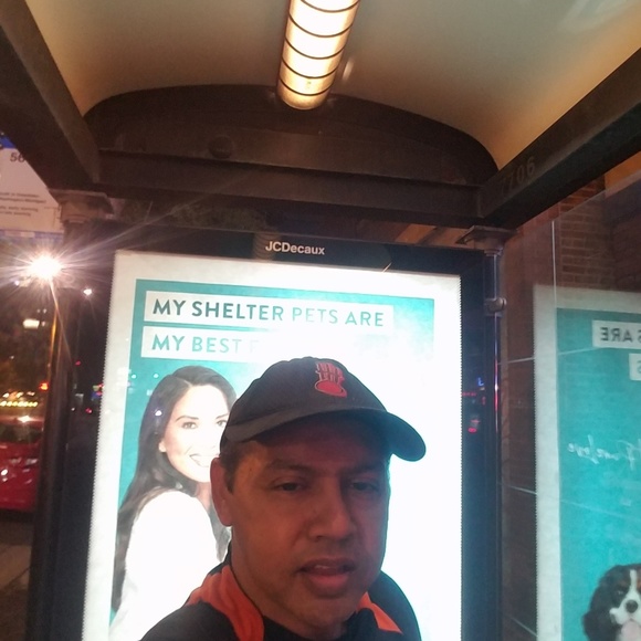 Meet your Posher, Jack - Picture 1 of 1